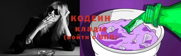 кокс Алексин