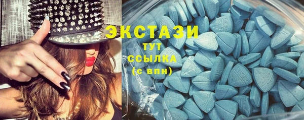 гашик Алексеевка