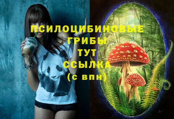 гашик Алексеевка