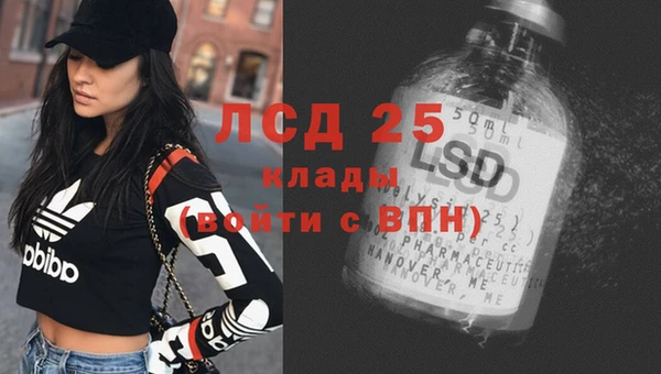 кокс Алексин