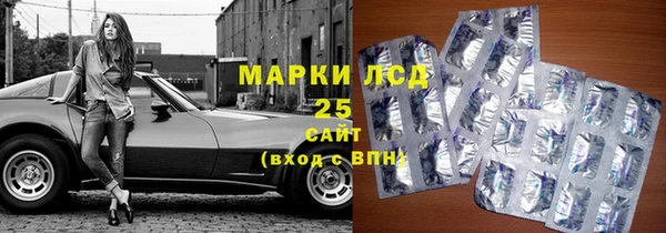 Альфа ПВП Аркадак