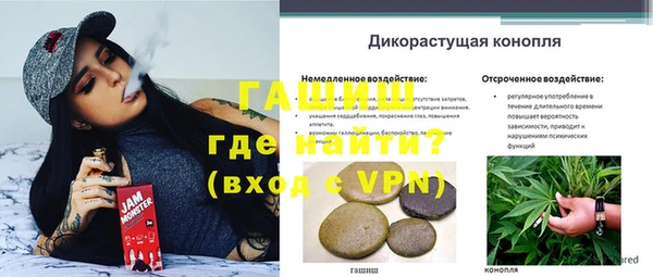 гидропоника Алзамай