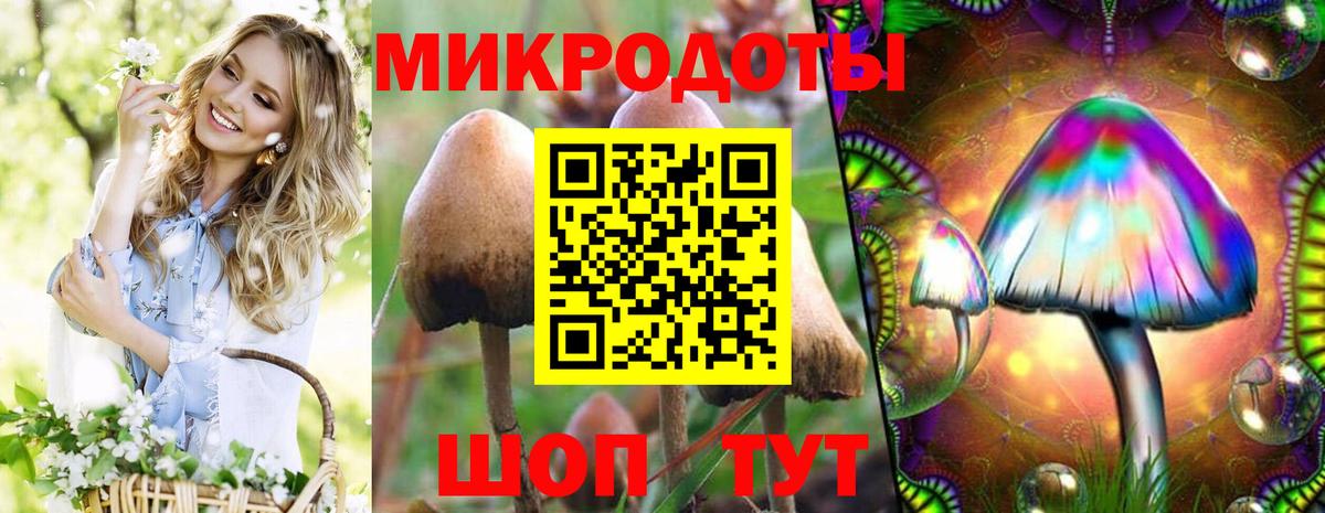 Тайшет  Галлюциногенные грибы GOLDEN TEACHER  Вход с VPN  Псилоцибиновые грибы GOLDEN TEACHER 