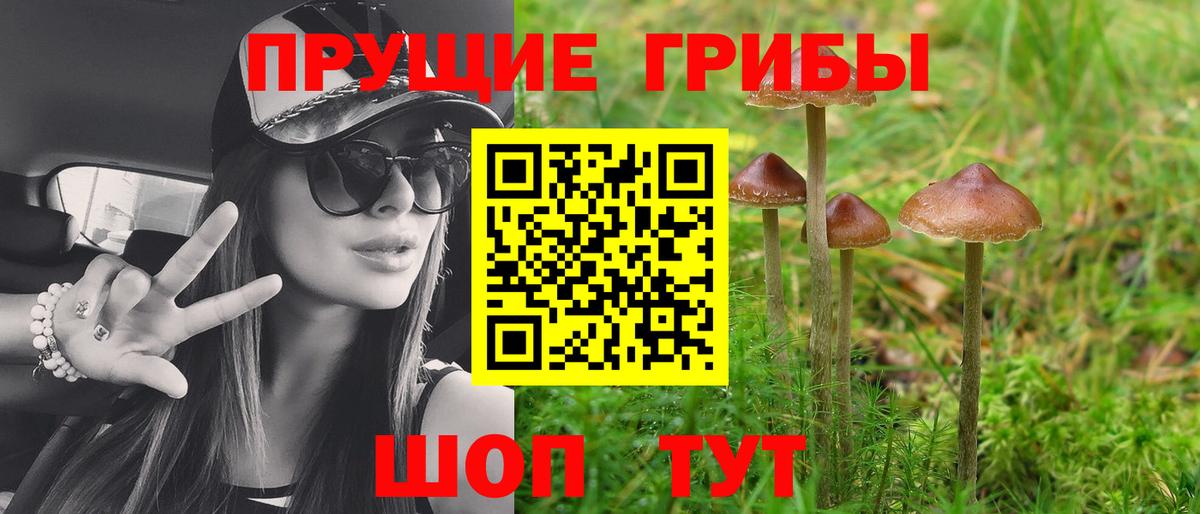 Псилоцибиновые грибы Magic Shrooms Тайшет